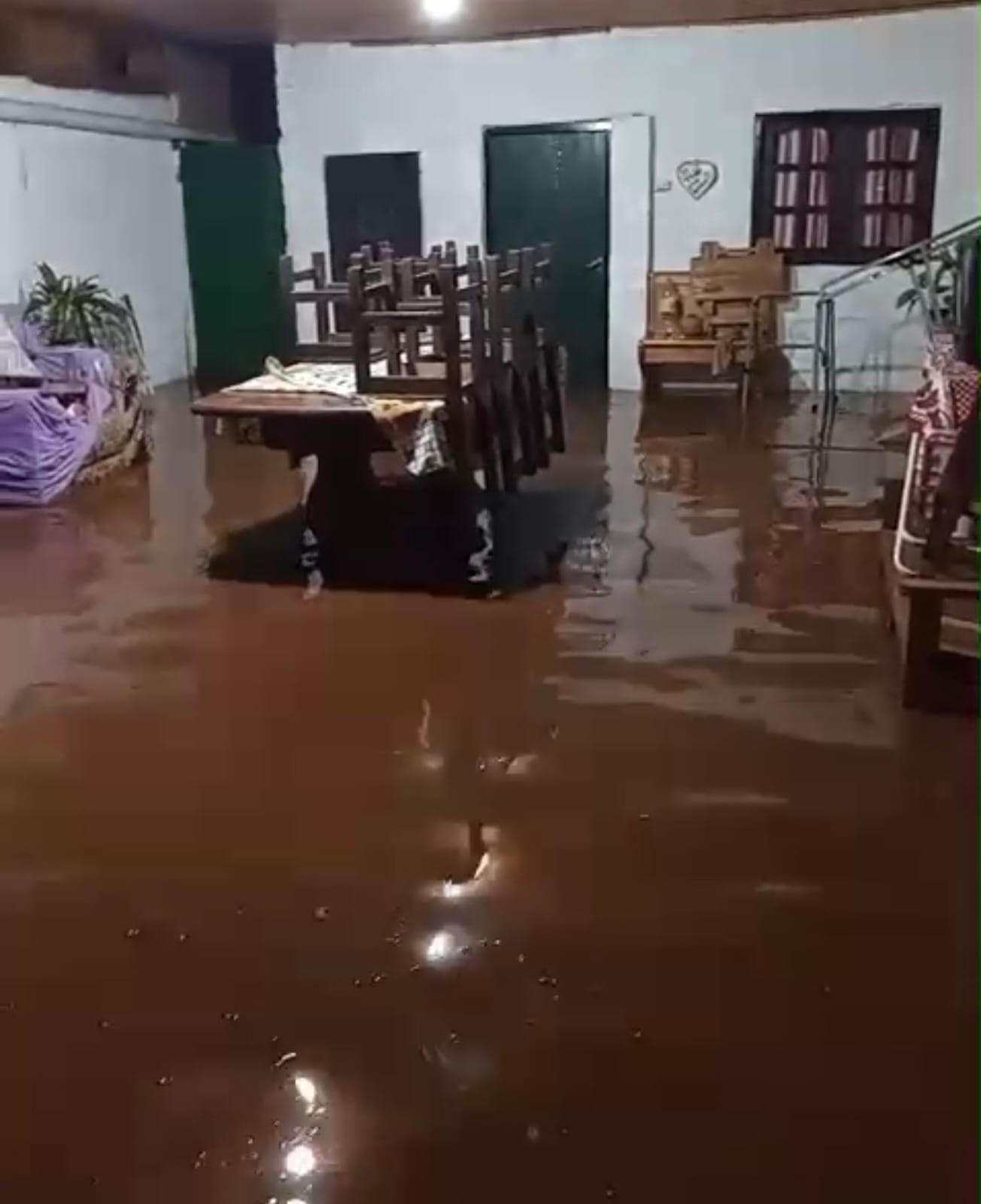 Temporal en Eldorado: anegamientos, árboles caídos y casas afectadas en varios barrios